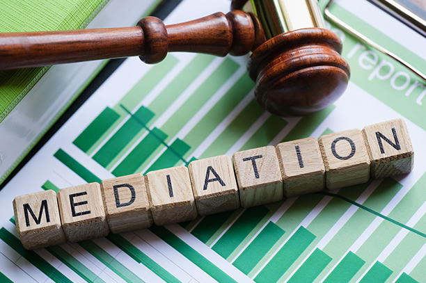 Mediation Process